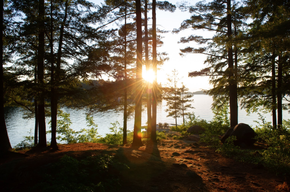 ouid blog image