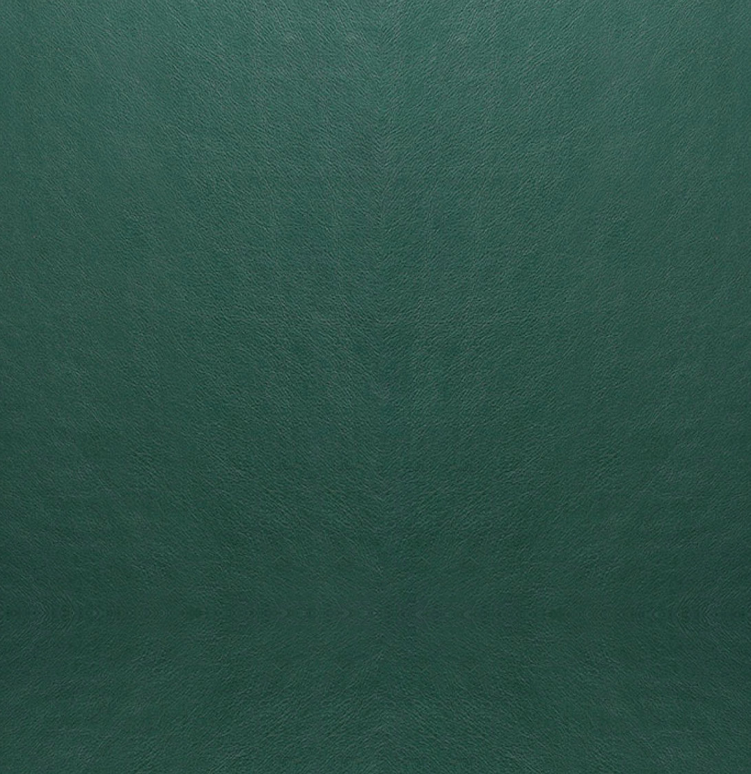 cover thumb