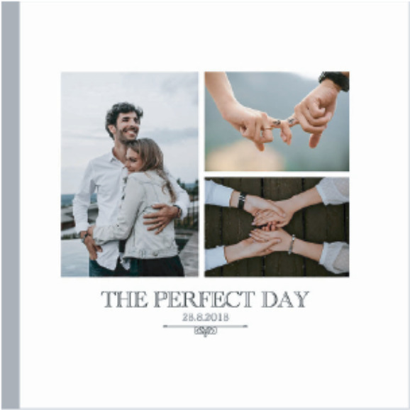 album The Perfect Day